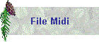 File Midi